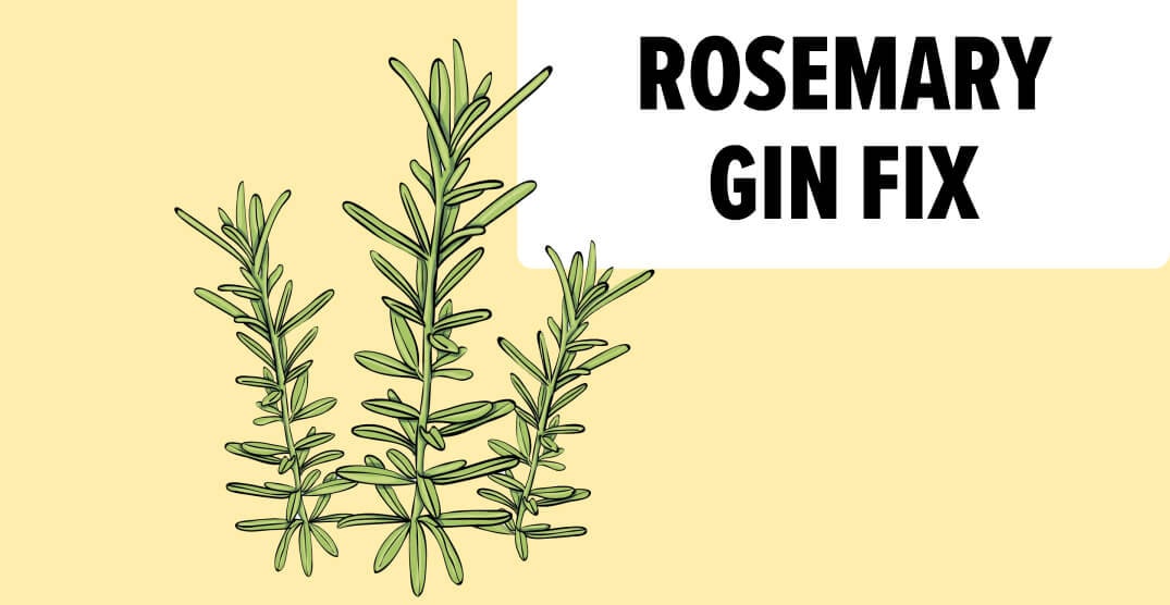 Rosemary gin fix